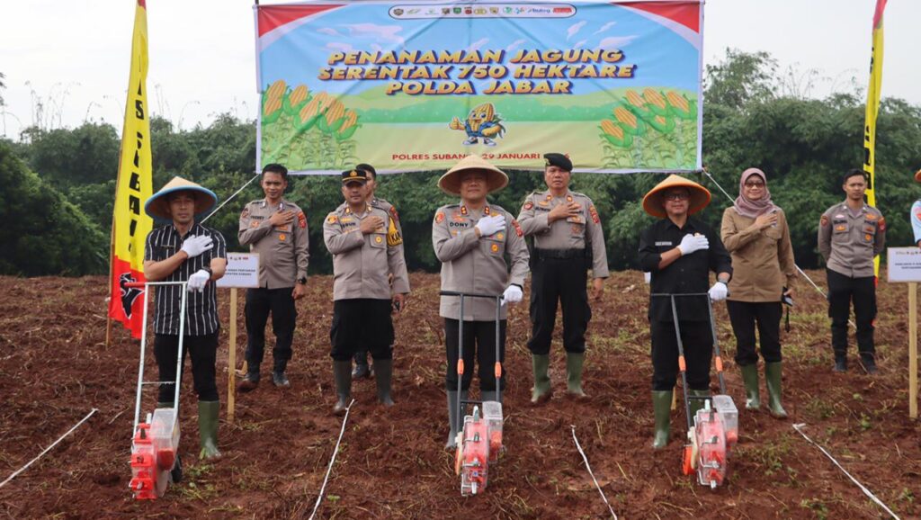 Polri Tanam Jagung Serentak 750 Hektare di Jawa Barat, Polres Subang Tegaskan Komitmen Swasembada Pangan