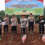 Polri Tanam Jagung Serentak 750 Hektare di Jawa Barat, Polres Subang Tegaskan Komitmen Swasembada Pangan