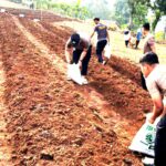 Polda Jabar Tanam Jagung 750 Hektare Dukung Ketahanan Pangan Nasional