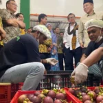 Wabup Subang Resmikan Ekspor 3 Ton Manggis ke China, Koperasi Jadi Motor Ekonomi Desa