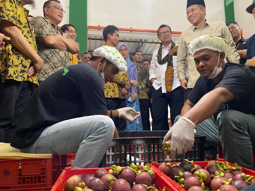 Wabup Subang Resmikan Ekspor 3 Ton Manggis ke China, Koperasi Jadi Motor Ekonomi Desa